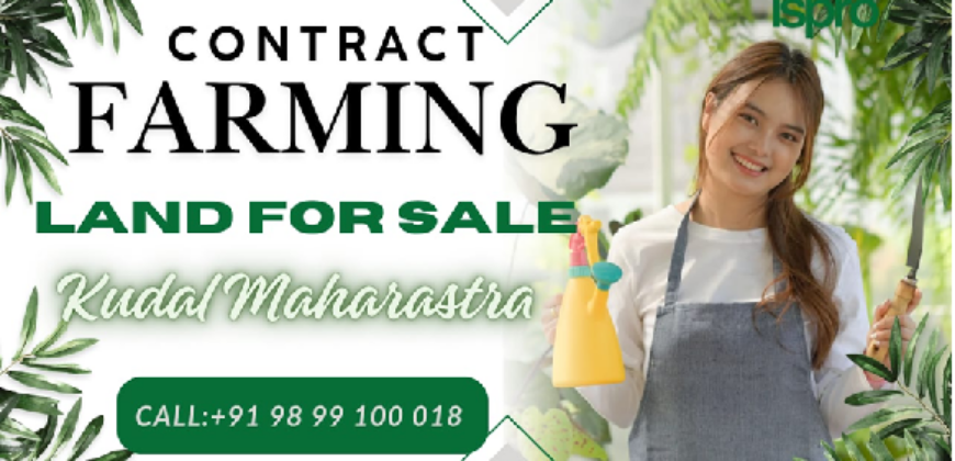 AGRICULTURE LAND | FOR SALE | VASOLI KUDAL MAHARASTRA INDIA