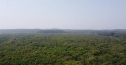 FORTY-ACRE LAND | FOR SALE | AARONDA | SINDHUDURG MAHARASTRA INDIA
