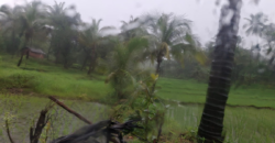 AGRICULTURE LAND | FOR SALE | VASOLI KUDAL MAHARASTRA INDIA