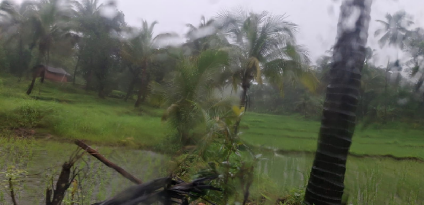 AGRICULTURE LAND | FOR SALE | VASOLI KUDAL MAHARASTRA INDIA