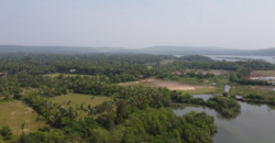 FORTY-ACRE LAND | FOR SALE | AARONDA | SINDHUDURG MAHARASTRA INDIA