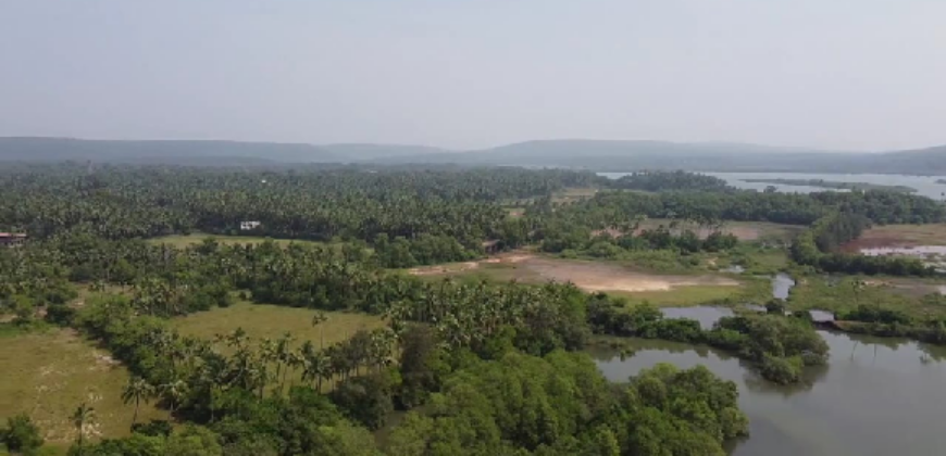 FORTY-ACRE LAND | FOR SALE | AARONDA | SINDHUDURG MAHARASTRA INDIA