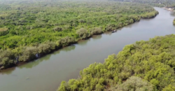 FORTY-ACRE LAND | FOR SALE | AARONDA | SINDHUDURG MAHARASTRA INDIA