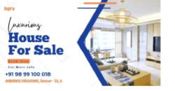 AMBIENCE CREACIONS | SECTOR 22 GURGAON HR INDIA