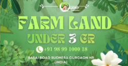 AGRICULTURE FARM LAND BUDHERA GURGAON