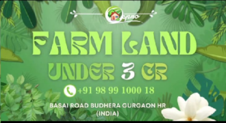 AGRICULTURE FARM LAND BUDHERA GURGAON