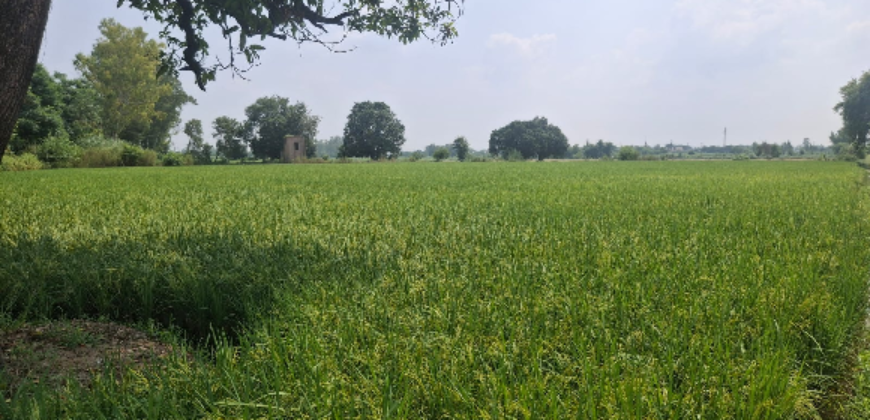 AGRICULTURE FARM LAND BUDHERA GURGAON