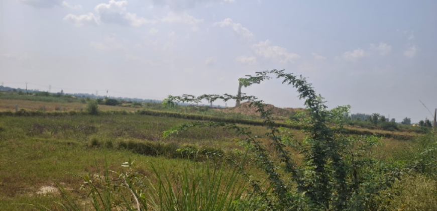 AGRICULTURE FARM LAND BUDHERA GURGAON