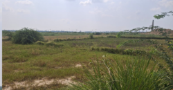 AGRICULTURE FARM LAND BUDHERA GURGAON
