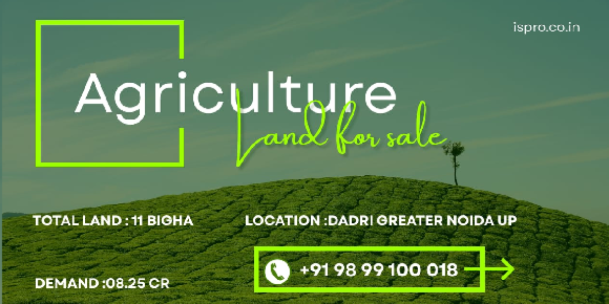 AGRICULTURE LAND | FOR SALE | DADRI GREATER NOIDA | (UP)