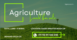AGRICULTURE LAND | FOR SALE | DADRI GREATER NOIDA | (UP)