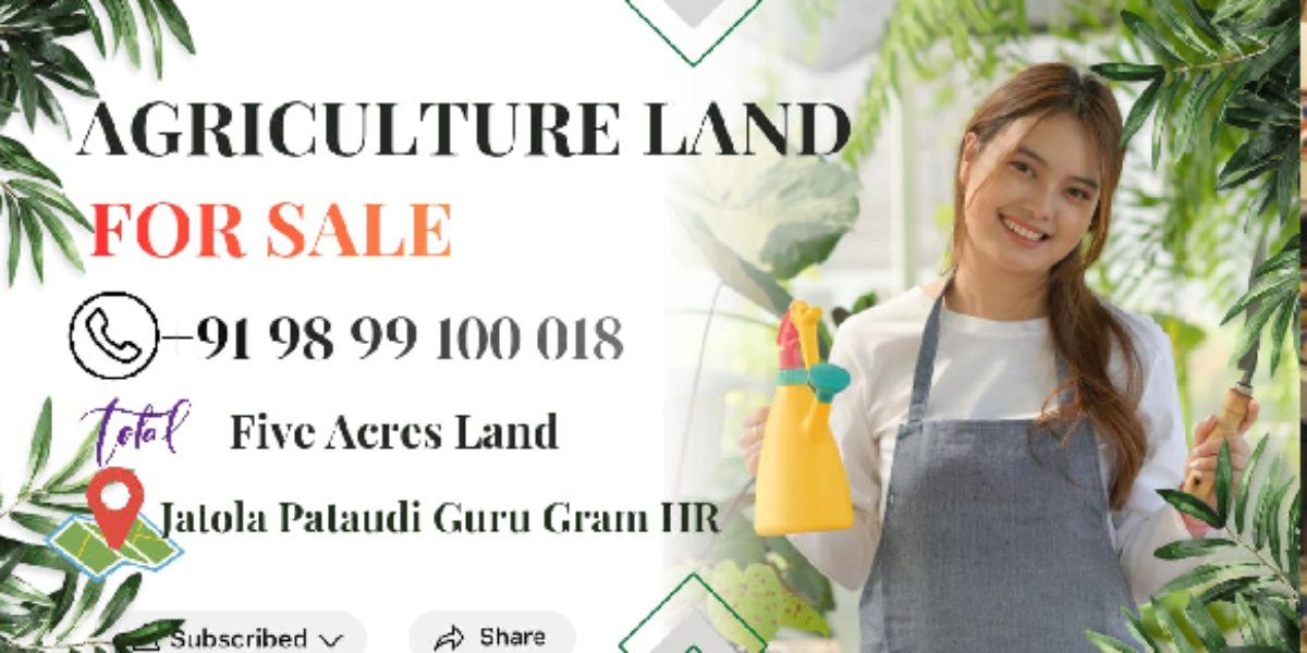 AGRICULTURE LAND| FOR SALE | PATAUDI GURGAON | (HR)