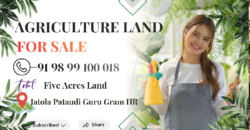 AGRICULTURE LAND| FOR SALE | PATAUDI GURGAON | (HR)