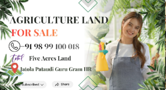 AGRICULTURE LAND| FOR SALE | PATAUDI GURGAON | (HR)