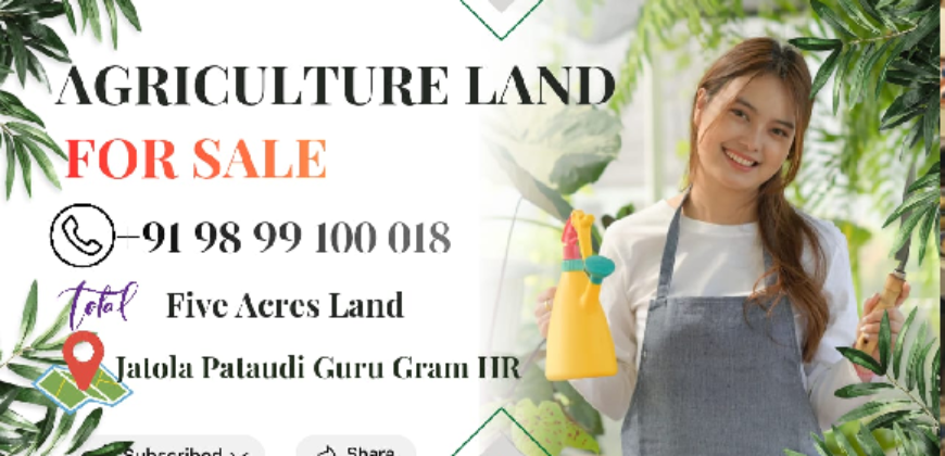 AGRICULTURE LAND| FOR SALE | PATAUDI GURGAON | (HR)