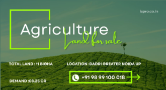 AGRICULTURE LAND | FOR SALE | DADRI GREATER NOIDA | (UP)