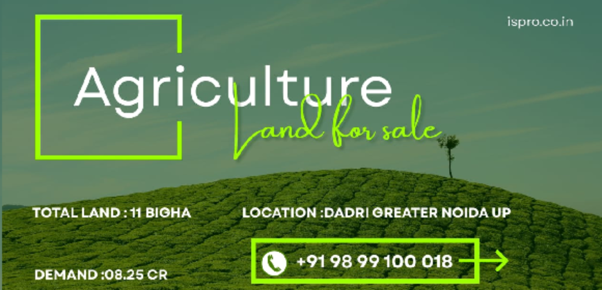 AGRICULTURE LAND | FOR SALE | DADRI GREATER NOIDA | (UP)
