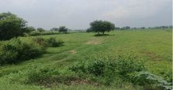 AGRICULTURE LAND | FOR SALE | DADRI GREATER NOIDA | (UP)
