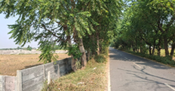 AGRICULTURE LAND| FOR SALE | PATAUDI GURGAON | (HR)