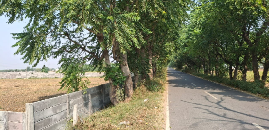 AGRICULTURE LAND| FOR SALE | PATAUDI GURGAON | (HR)