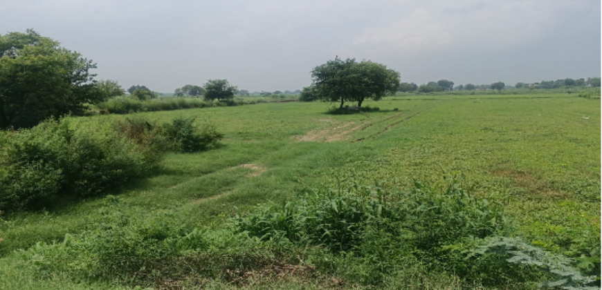 AGRICULTURE LAND | FOR SALE | DADRI GREATER NOIDA | (UP)