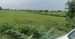 AGRICULTURE LAND | FOR SALE | DADRI GREATER NOIDA | (UP)