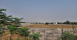 AGRICULTURE LAND| FOR SALE | PATAUDI GURGAON | (HR)