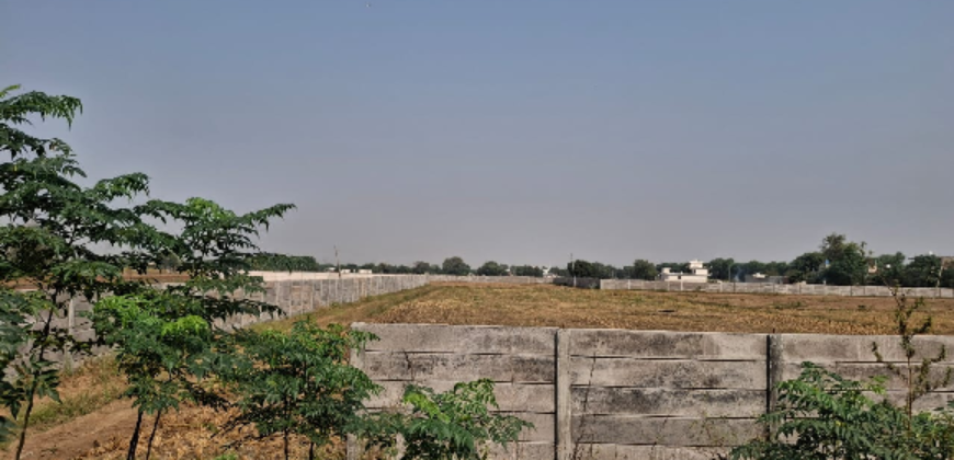 AGRICULTURE LAND| FOR SALE | PATAUDI GURGAON | (HR)