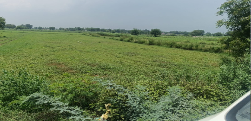 AGRICULTURE LAND | FOR SALE | DADRI GREATER NOIDA | (UP)