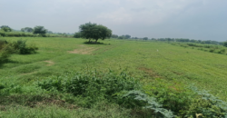 AGRICULTURE LAND | FOR SALE | DADRI GREATER NOIDA | (UP)