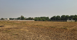 AGRICULTURE LAND| FOR SALE | PATAUDI GURGAON | (HR)