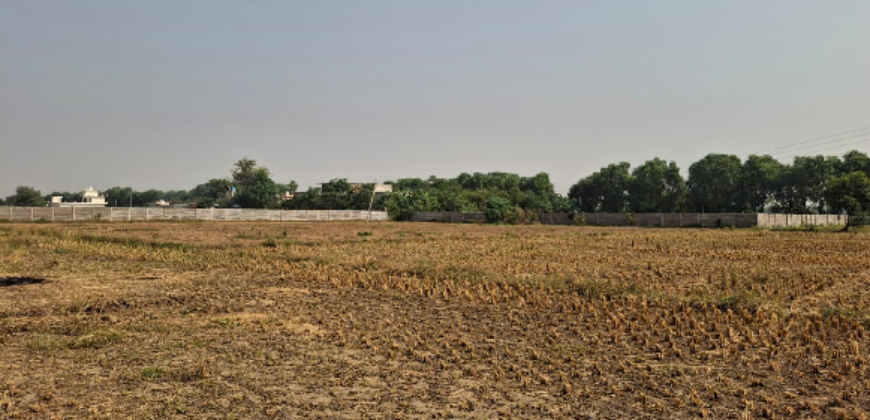 AGRICULTURE LAND| FOR SALE | PATAUDI GURGAON | (HR)