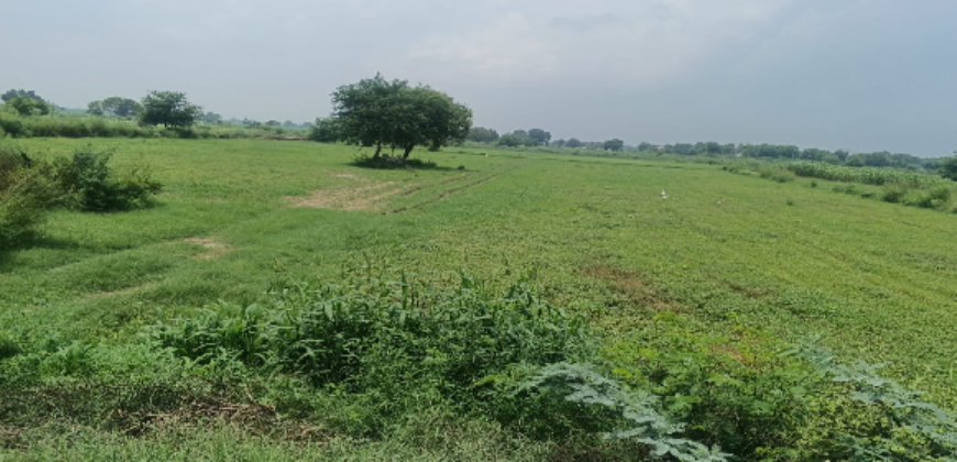 AGRICULTURE LAND | FOR SALE | DADRI GREATER NOIDA | (UP)