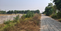 AGRICULTURE LAND| FOR SALE | PATAUDI GURGAON | (HR)