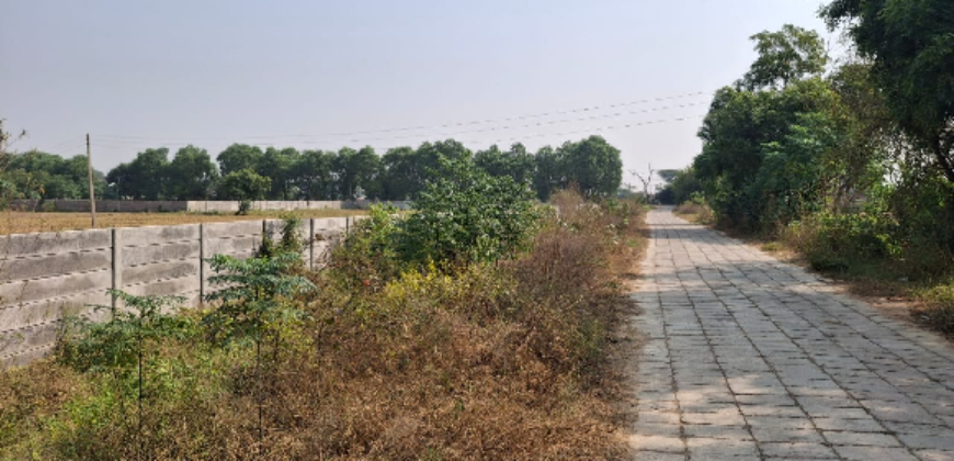 AGRICULTURE LAND| FOR SALE | PATAUDI GURGAON | (HR)
